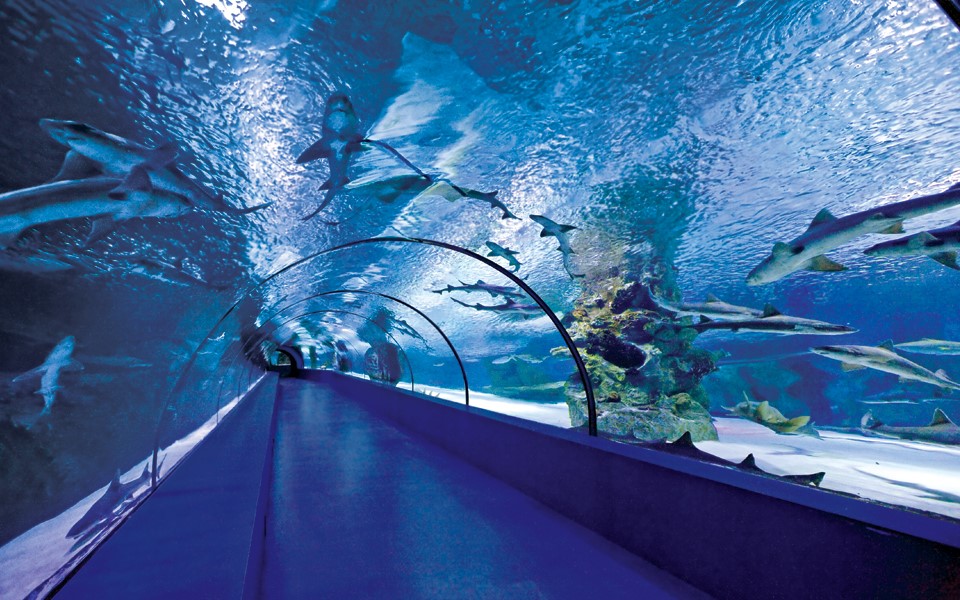 Antalya Aquarium
